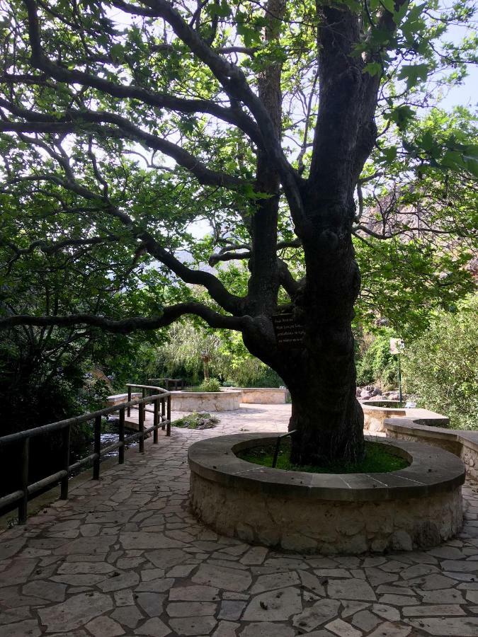 Helen House Διαμέρισμα Káto Zákros Εξωτερικό φωτογραφία